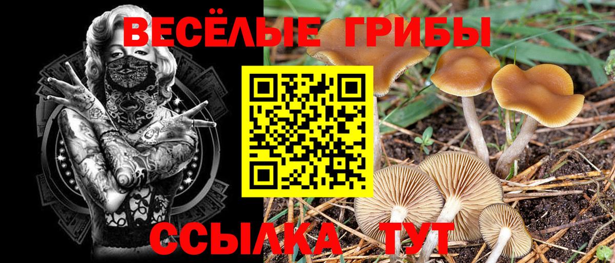 Алексеевка  Галлюциногенные грибы Psilocybine cubensis  Псилоцибиновые грибы GOLDEN TEACHER  Вход с VPN 