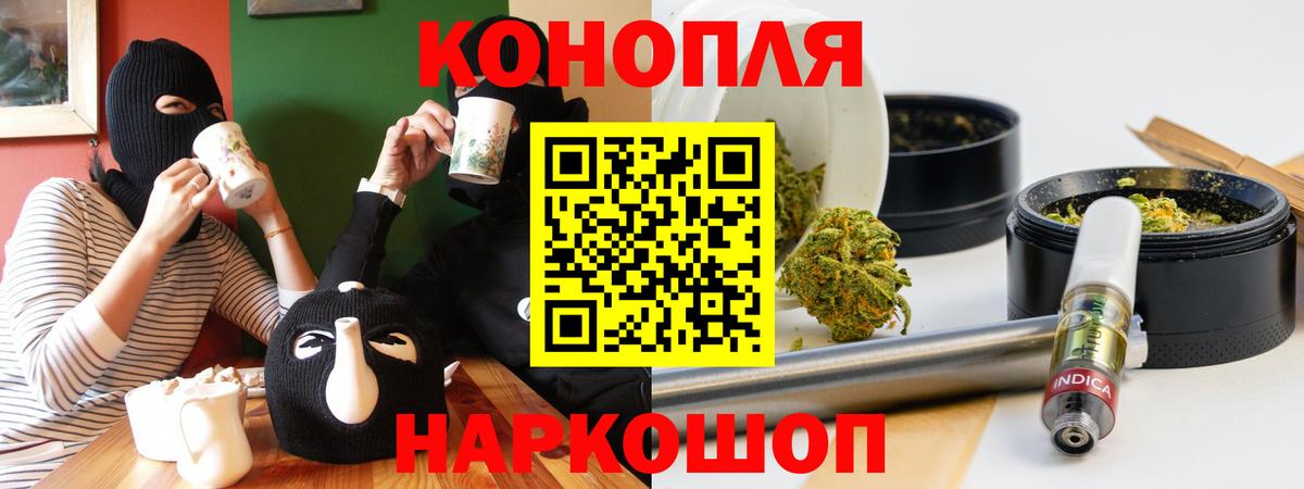 Канабис планчик Алексеевка